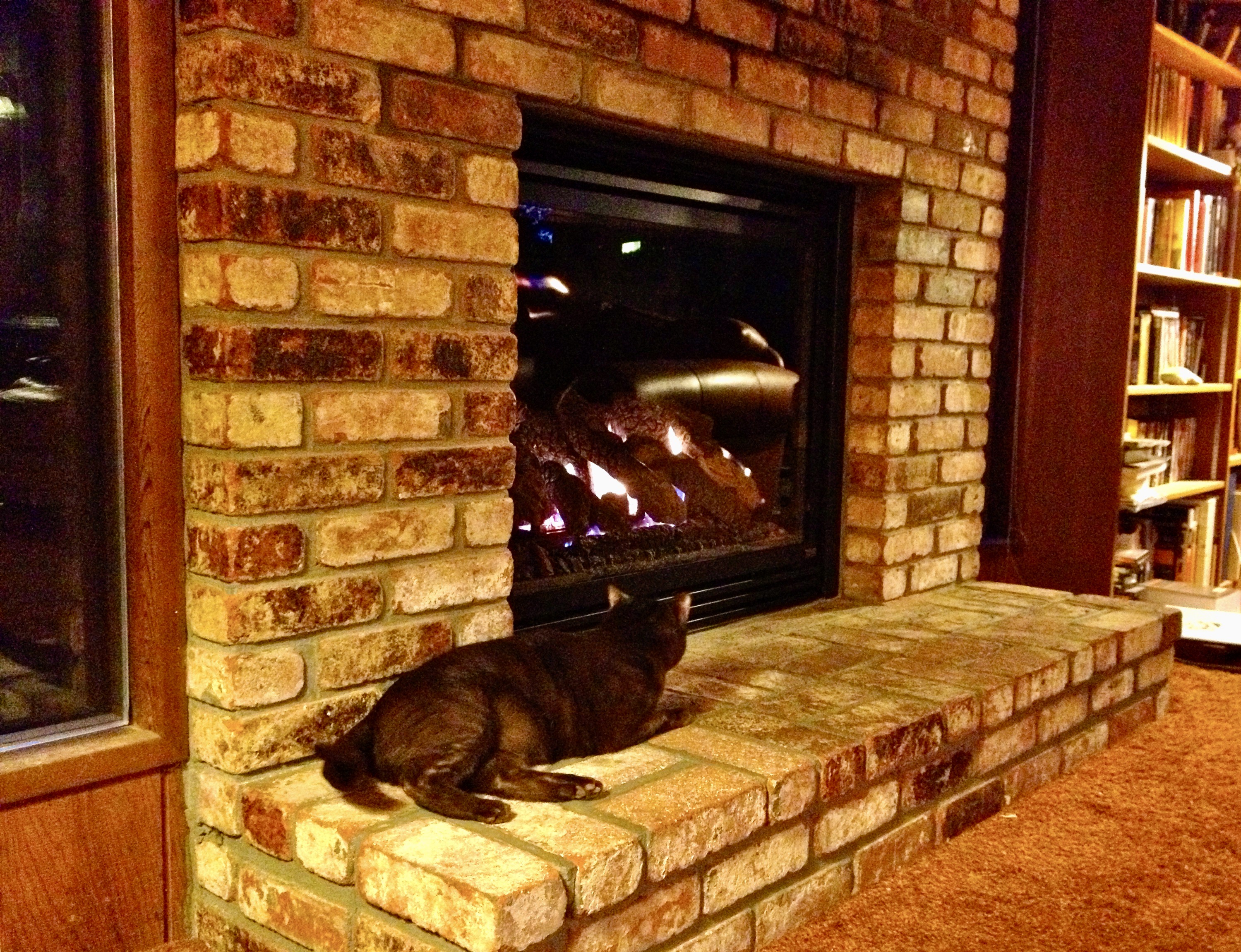 fireplace insert