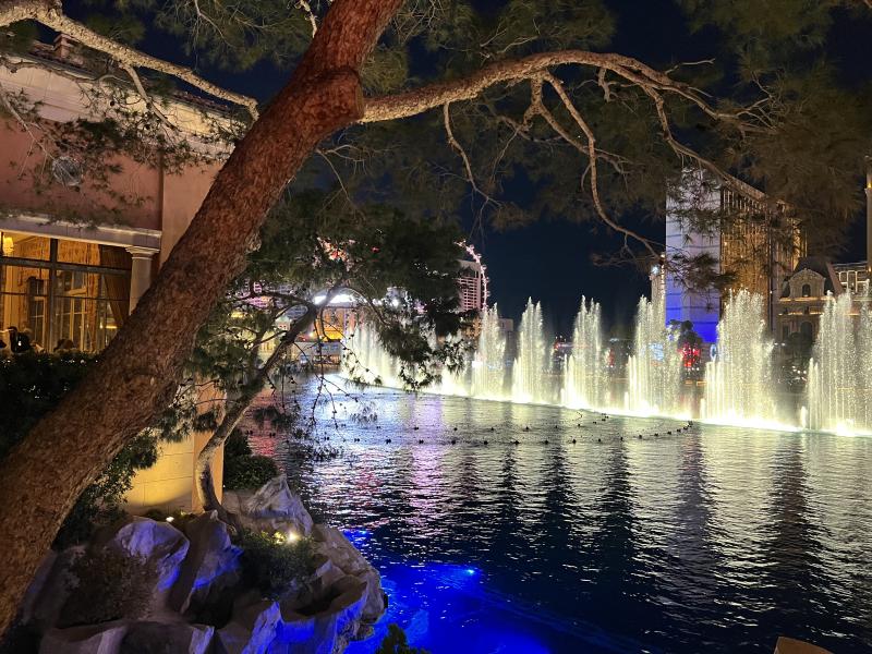 Bellagio at night