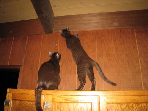 img_2719.jpeg